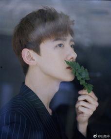 王鹤棣爆料姐弟恋视频,甜蜜互动引网友热议 第2张 王鹤棣爆料姐弟恋视频,甜蜜互动引网友热议 第2张