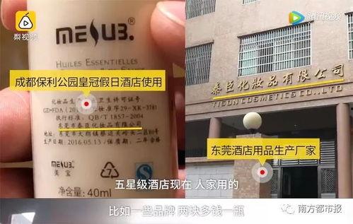 水宝宝爆料视频,揭秘神秘生物的神奇生活  第3张